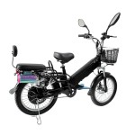 20-inch spoked wheel, fat tire, single electric goose head handlebar, cable tray, oil tray, rear-mounted Bluetooth speaker, lithium battery electric bicycle